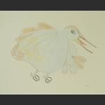 Drawing 38 by Pitaloosie Saila