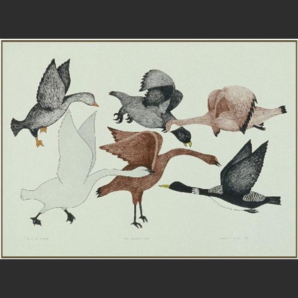 Birds of Summer by Ekidluak Komoartok