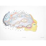 Drawing Tim-261
