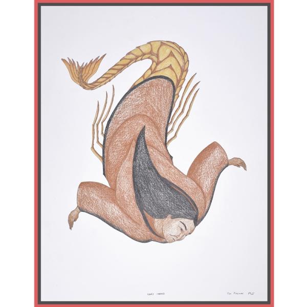 Drawing  523 by Tim  Pitsiulak