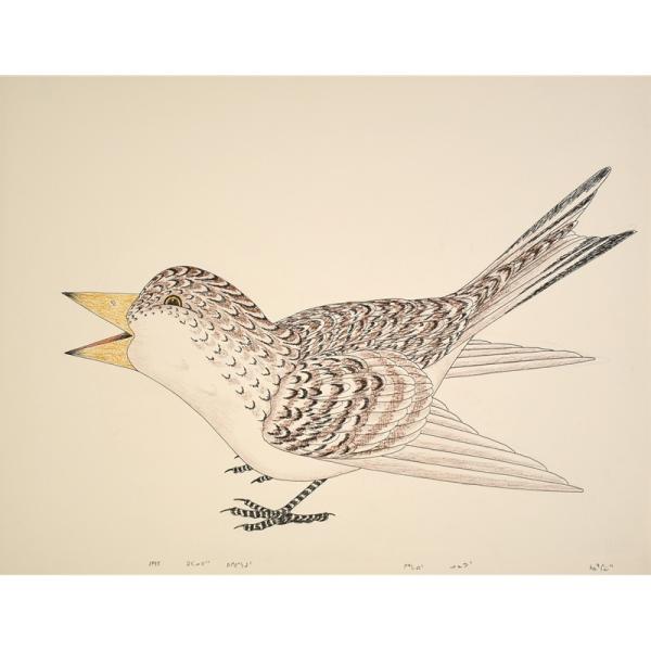 Spring Bird by Kananginak Pootoogook