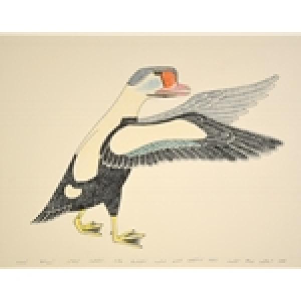 Welcoming Bird by Kananginak Pootoogook