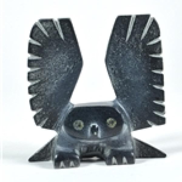Owl de Allen Namonai