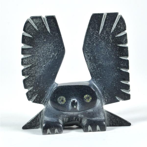 Owl de Allen Namonai