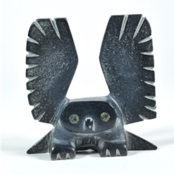 Owl de Allen Namonai