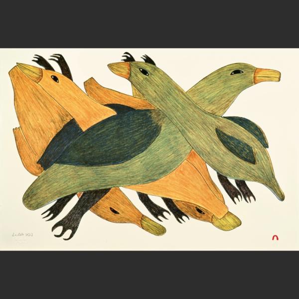 Crisscross by Malaija Pootoogook