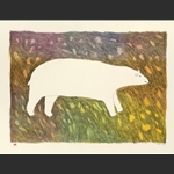Tundra Bear by Papiara Tukiki