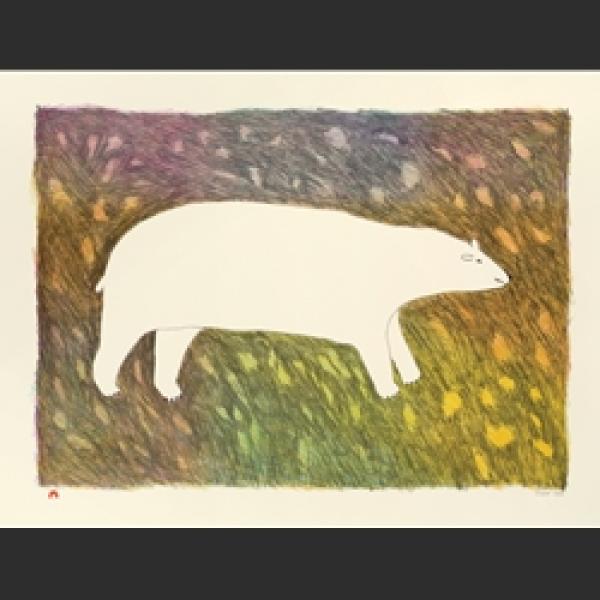 Tundra Bear by Papiara Tukiki