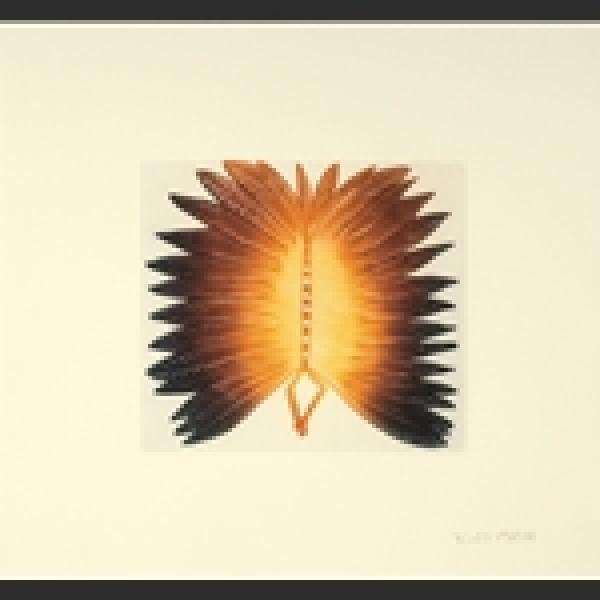 Tarrilikitaarq (Butterfly) by Qaluituk Kingwatsiaq