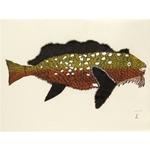 Kanajurupalliajuq (Turning Into Sculpin) by Papiara Tukiki