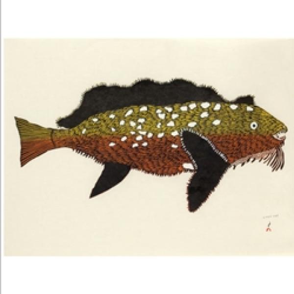 Kanajurupalliajuq (Turning Into Sculpin) by Papiara Tukiki