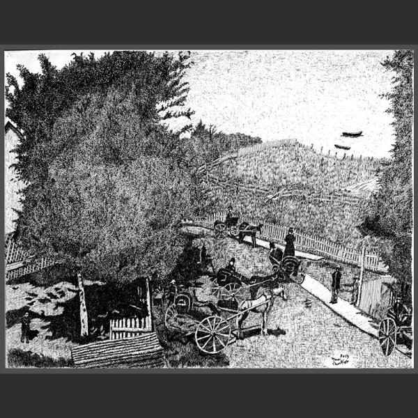 View at La Malbaie, China Ink by Marc Tremblay