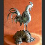 Rooster