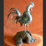 Rooster