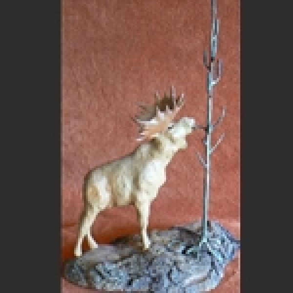 Moose