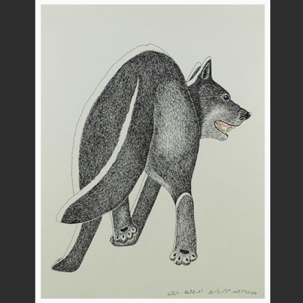 Drawing 8 by Kananginak Pootoogook