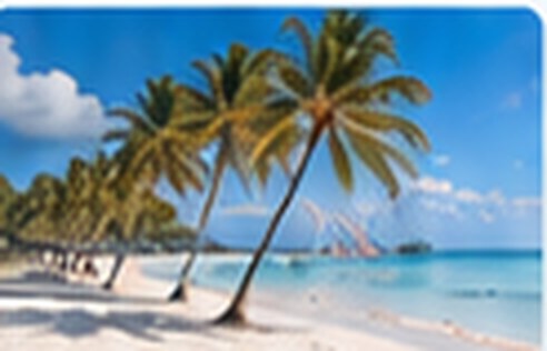 Plage bordée de palmiers à Punta Cana